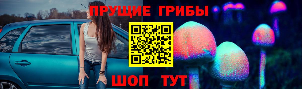Кстово  Псилоцибиновые грибы мухоморы  Вход с VPN  Галлюциногенные грибы мицелий 